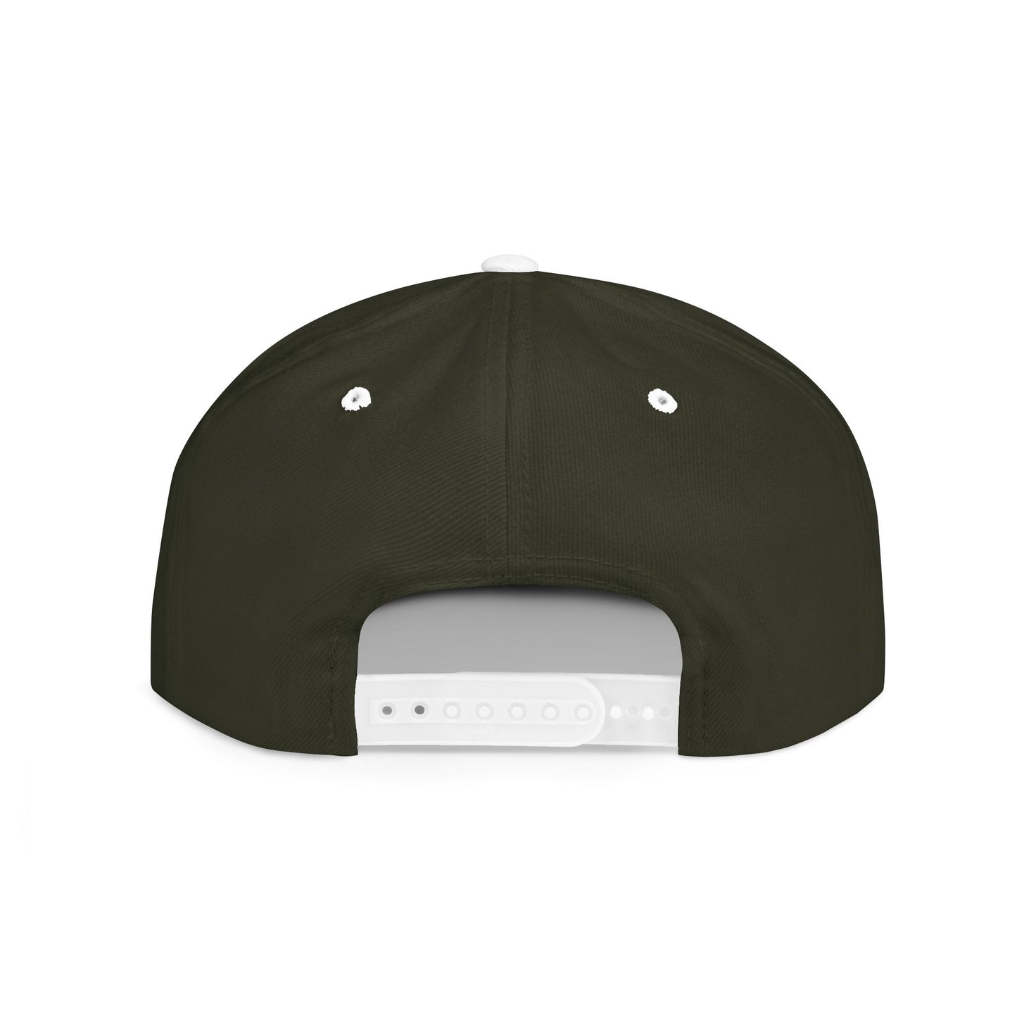 Dark Horse Snap Back Hat